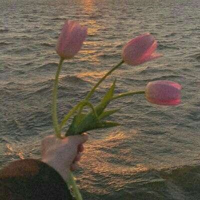 金沙官方登录入口